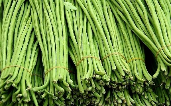 豇豆是發物嗎?吃豇豆的禁忌