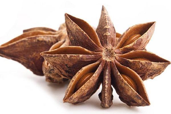 大茴香是八角嗎