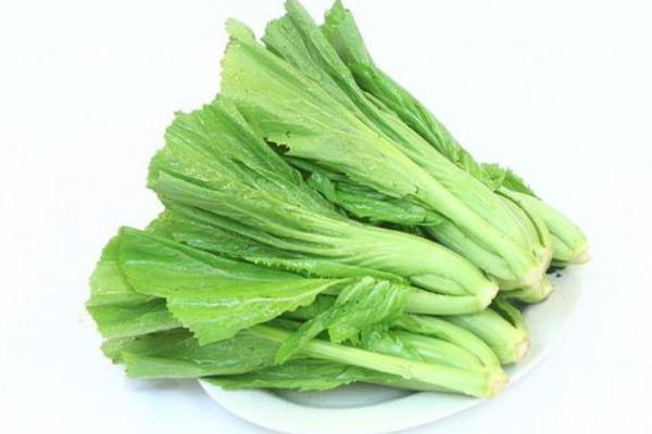 芥菜產地在哪里