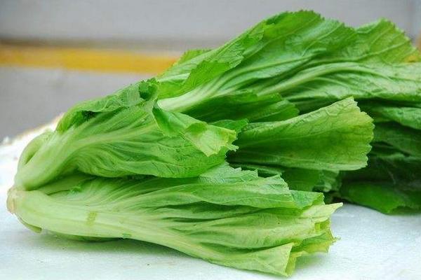 芥菜市場價格多少錢一斤