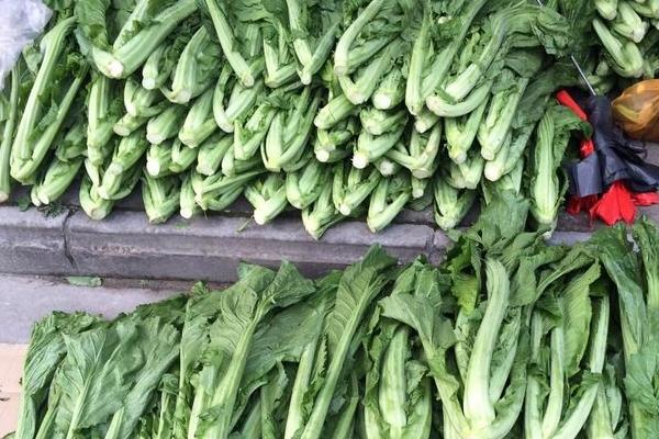 芥菜市場價格多少錢一斤