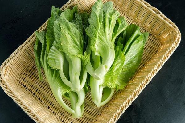 芥菜市場價格多少錢一斤