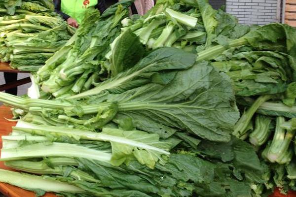 芥菜市場價格多少錢一斤