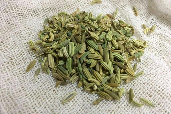 大茴香是八角嗎