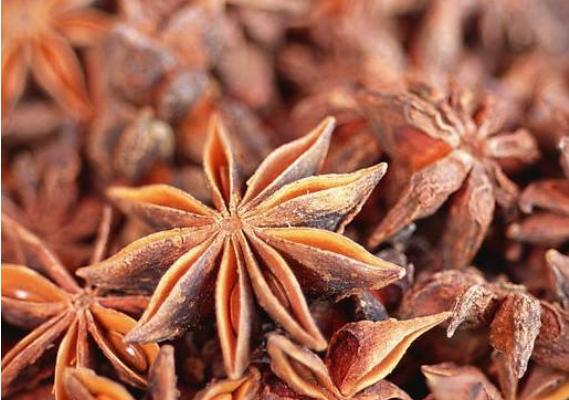 大茴香是八角嗎