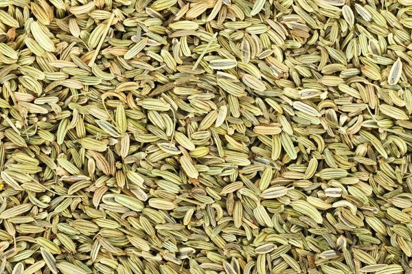 小茴香圖片大全 小茴香簡介