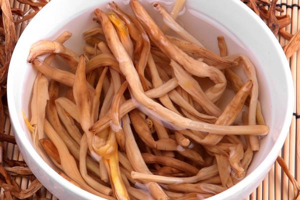 黃花菜為什么發(fā)白