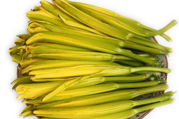 孕婦可以吃黃花菜嗎 黃花菜不能和什么一起吃