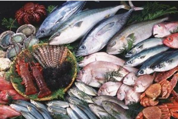 茴香是發(fā)物嗎