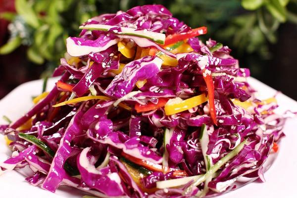 羽衣甘藍種子價格多少錢一斤