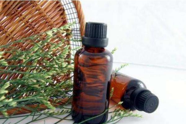 茴香精油的功效與作用及禁忌