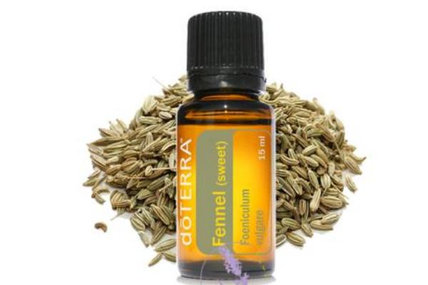 茴香精油的功效與作用及禁忌