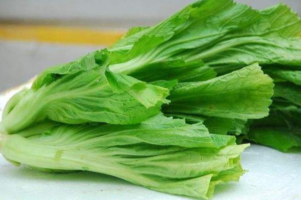 芥菜怎么炒不苦 ?芥菜苦是怎么回事