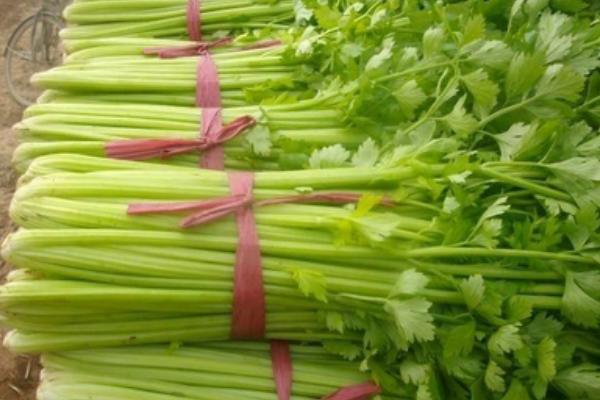 豬肉芹菜餃子餡怎么調