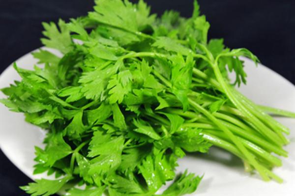 芹菜殺精是真的嗎