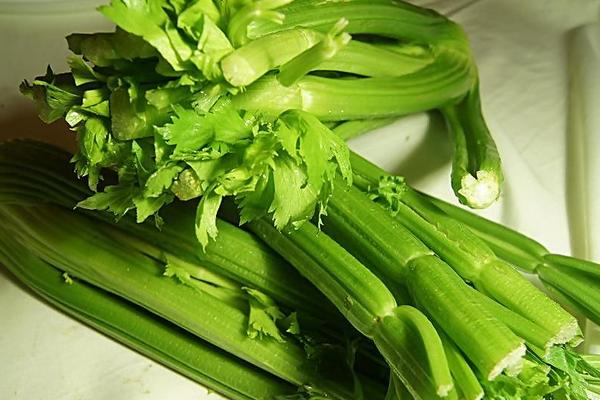 羊肉和芹菜能一起吃嗎