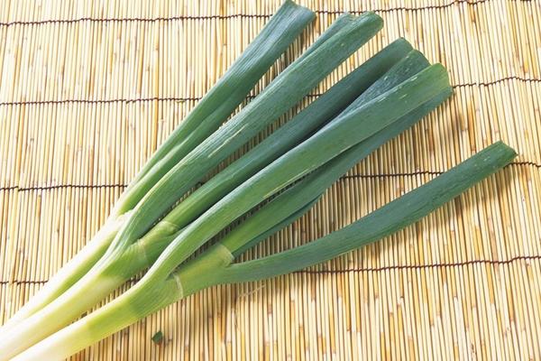 大蔥不能和什么一起吃 大蔥吃多了有什么壞處