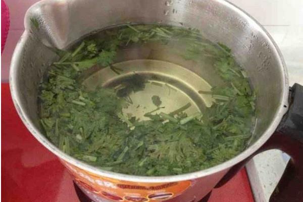香菜煮水的功效與作用 香菜煮水喝的好處