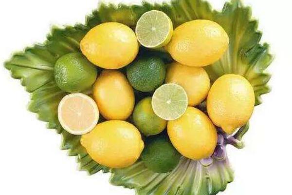 大蔥不能和什么一起吃 大蔥吃多了有什么壞處