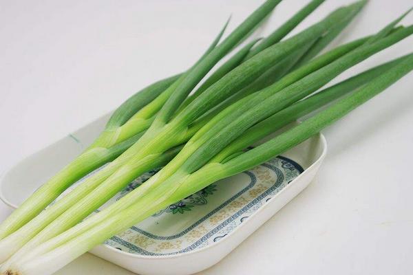 大蔥和小蔥有什么區別