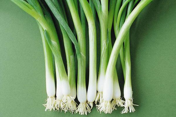 老母豬鼻子里插大蔥是什么意思