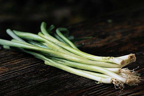 老母豬鼻子里插大蔥是什么意思