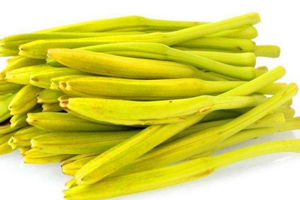 金針菜是黃花菜嗎