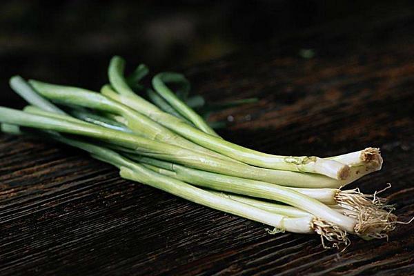大蔥市場價格多少錢一斤