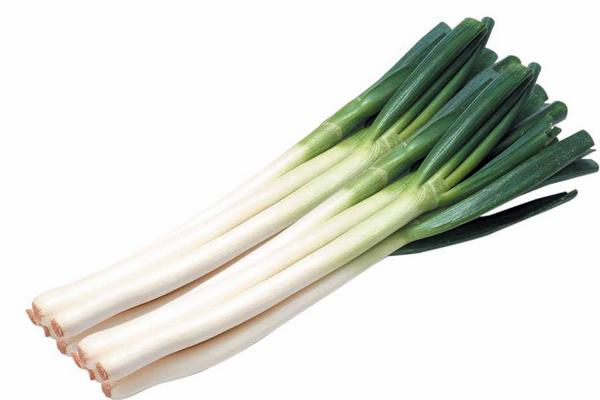 大蔥怎么做好吃