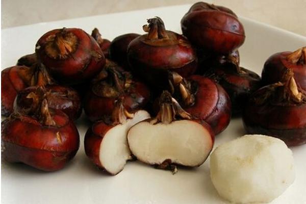 荸薺價格多少錢一斤