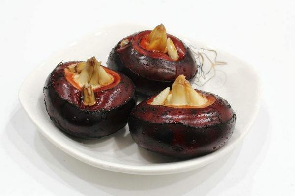 荸薺什么季節有