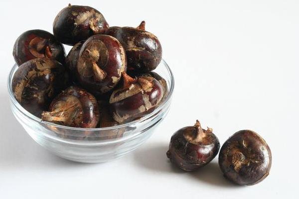 荸薺什么季節有