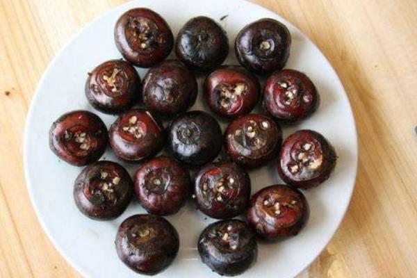 荸薺什么季節有