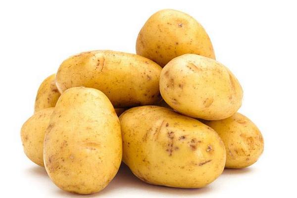 馬鈴薯不能和什么一起吃