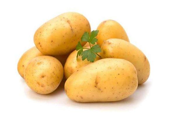 馬鈴薯的做法大全