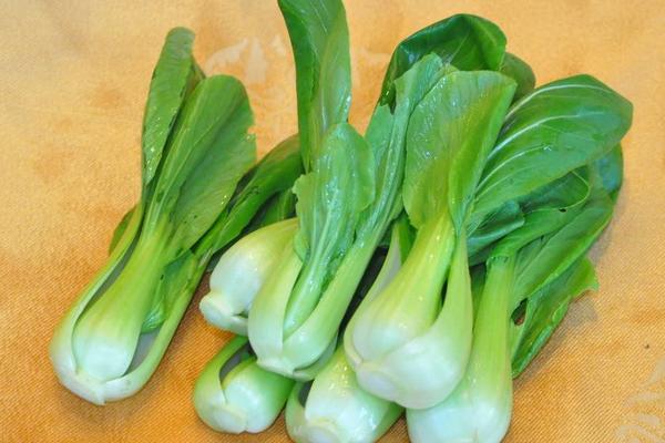 油菜價格多少錢一斤