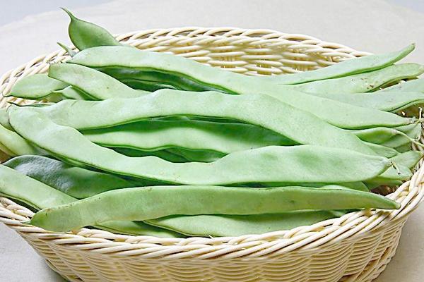 蕓豆價格多少錢一斤