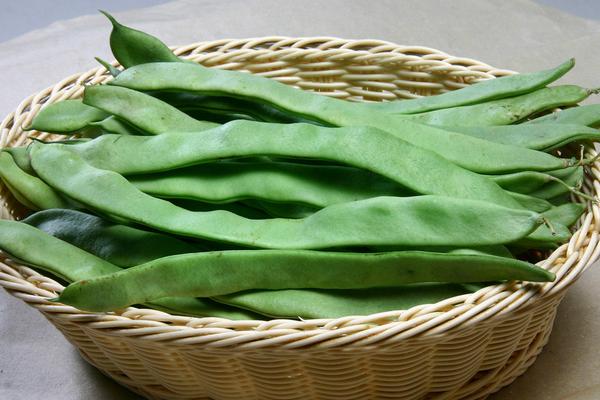 蕓豆凍了還能吃嗎