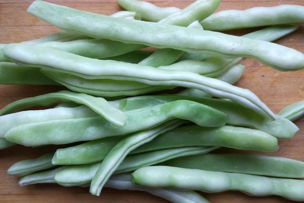 蕓豆可以補腎嗎