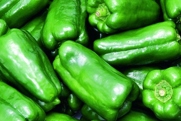 青椒功效與作用及禁忌