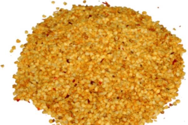 青椒種子價格多少錢一斤