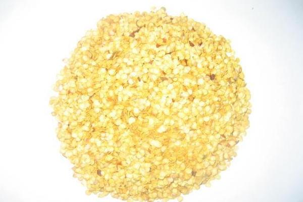 青椒種子價格多少錢一斤