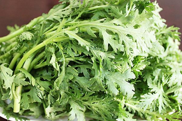 茼蒿是發(fā)物嗎