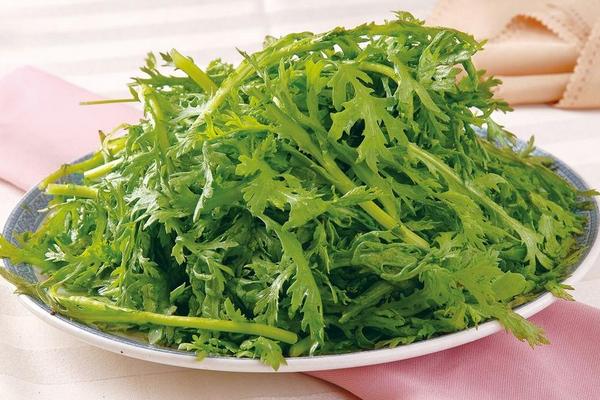 茼蒿的營養(yǎng)價(jià)值