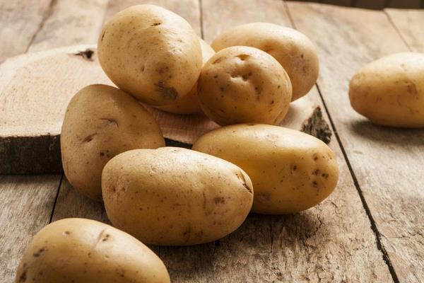 馬鈴薯價格多少錢一斤