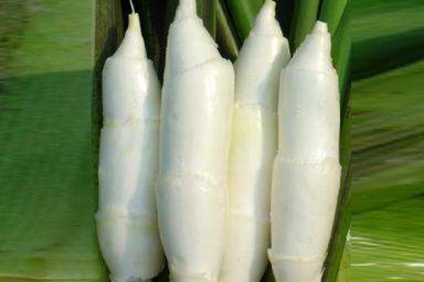 茭白圖片大全