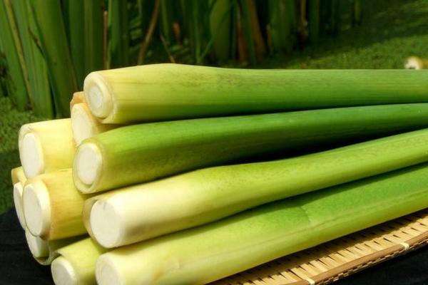 茭白圖片大全