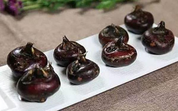 荸薺是根還是莖