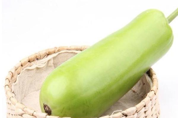 瓠子和西葫蘆的區別是什么