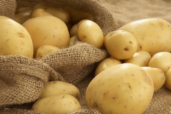 馬鈴薯品種有哪些